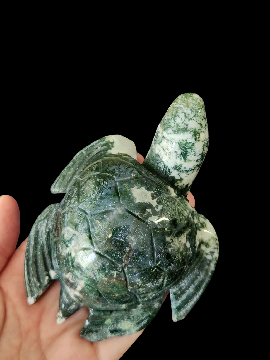 Turtle - Moss Agate