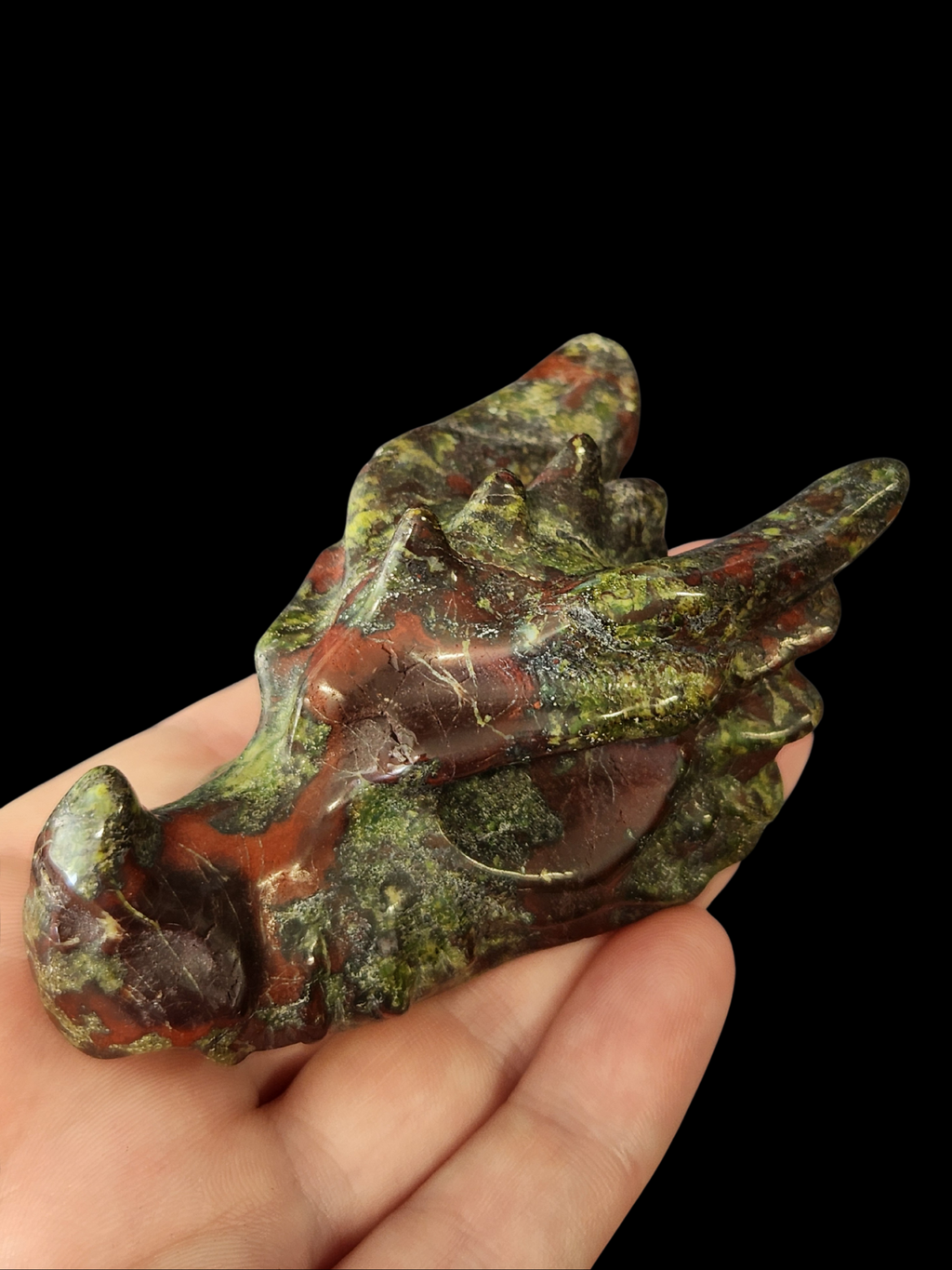 Dragon's Head - Dragons Blood