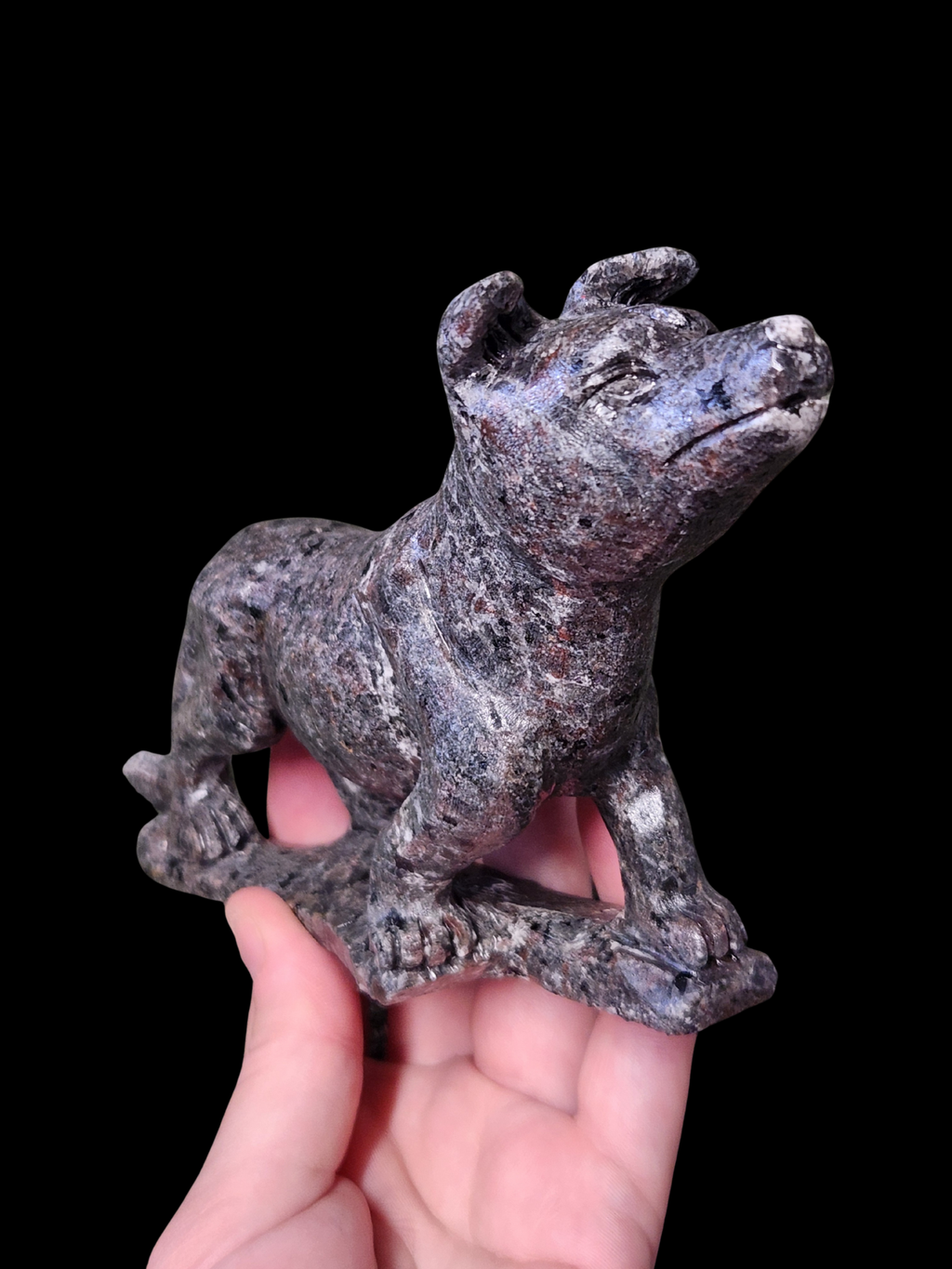Dog - Fire Stone