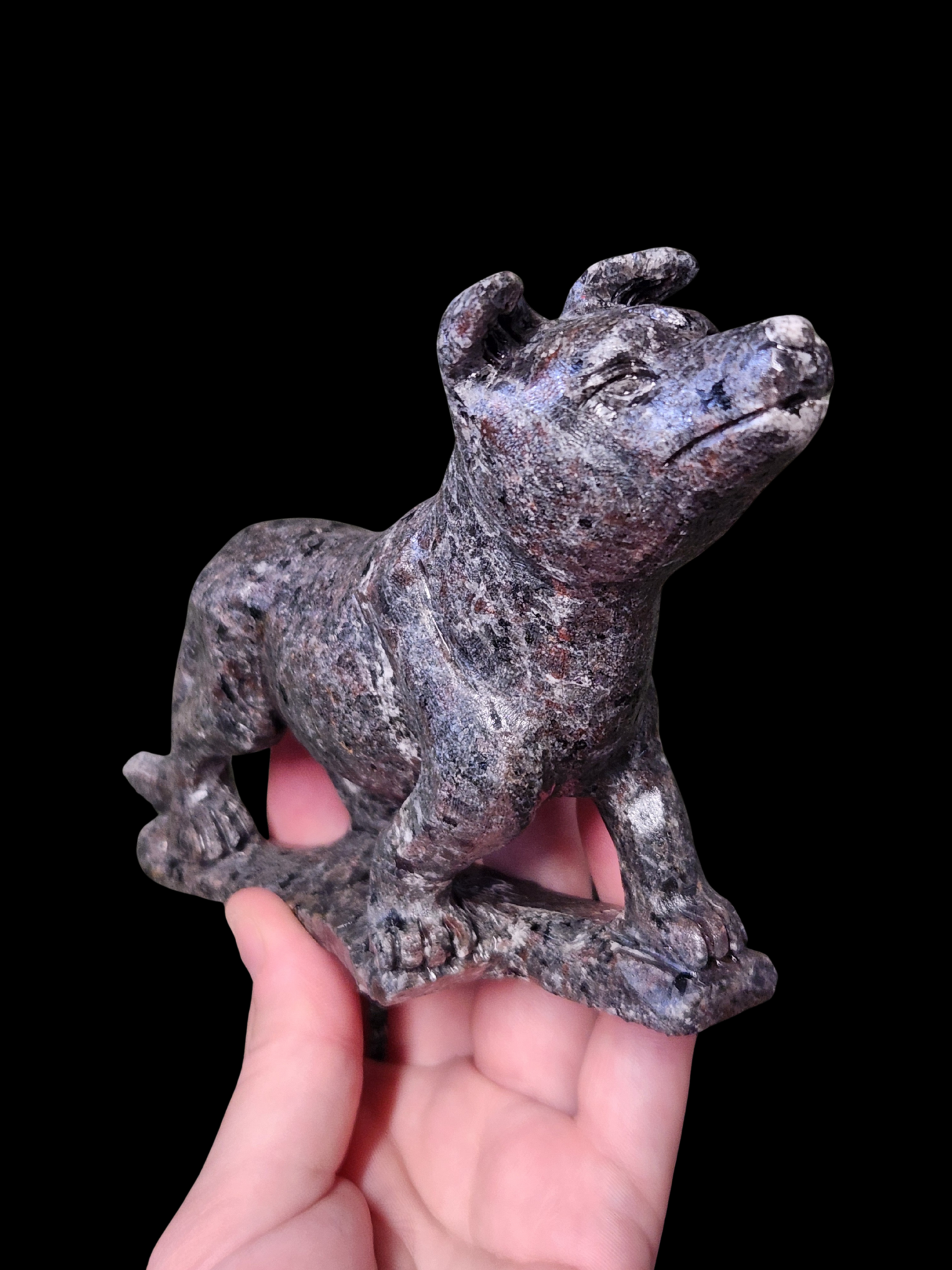 Dog - Fire Stone