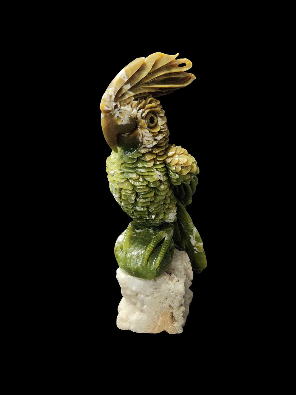 Parrot - Green Jade