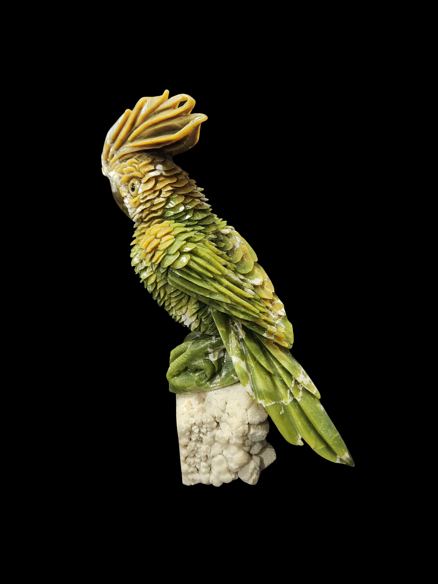Parrot - Green Jade