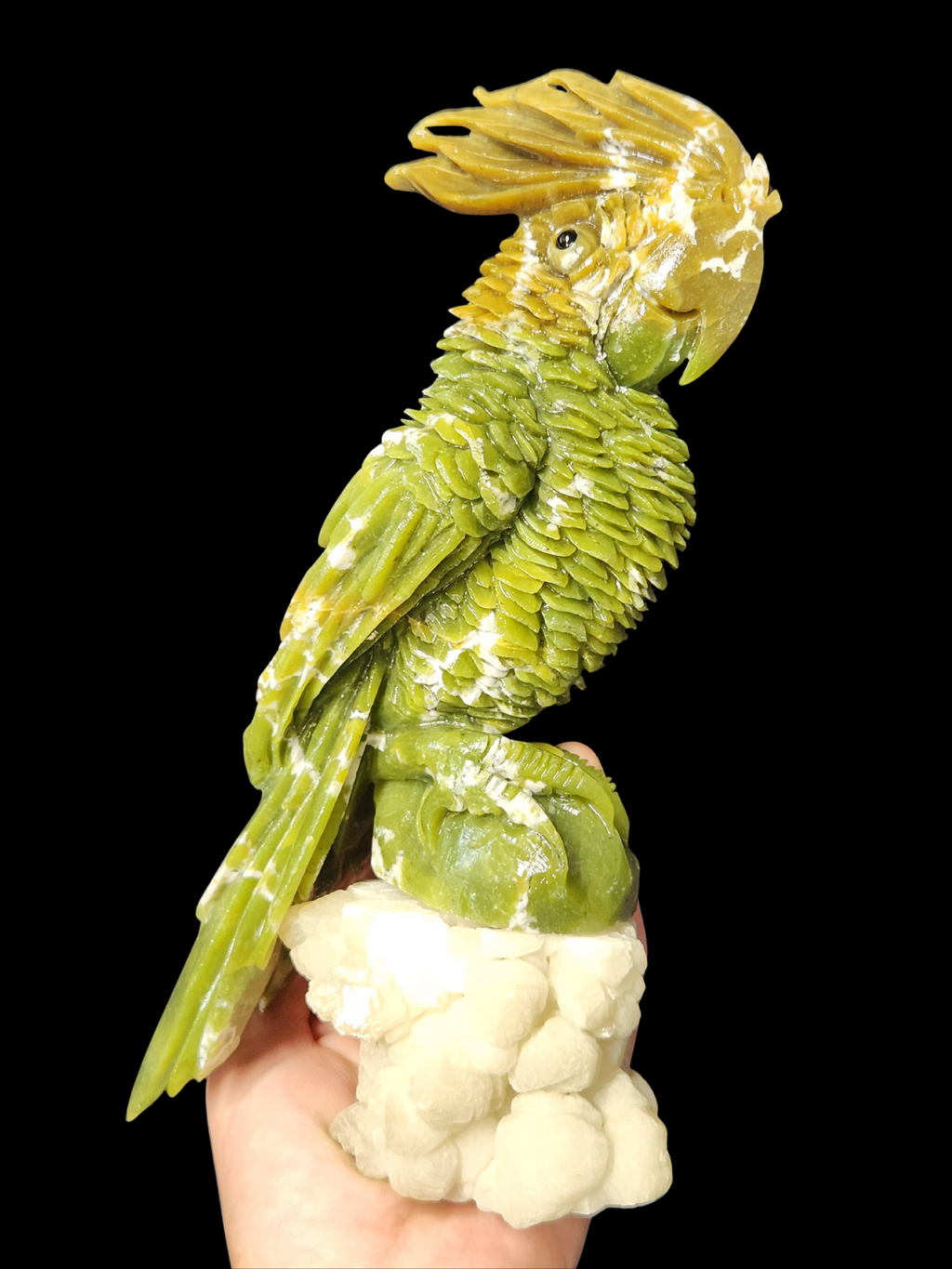 Parrot - Green Jade