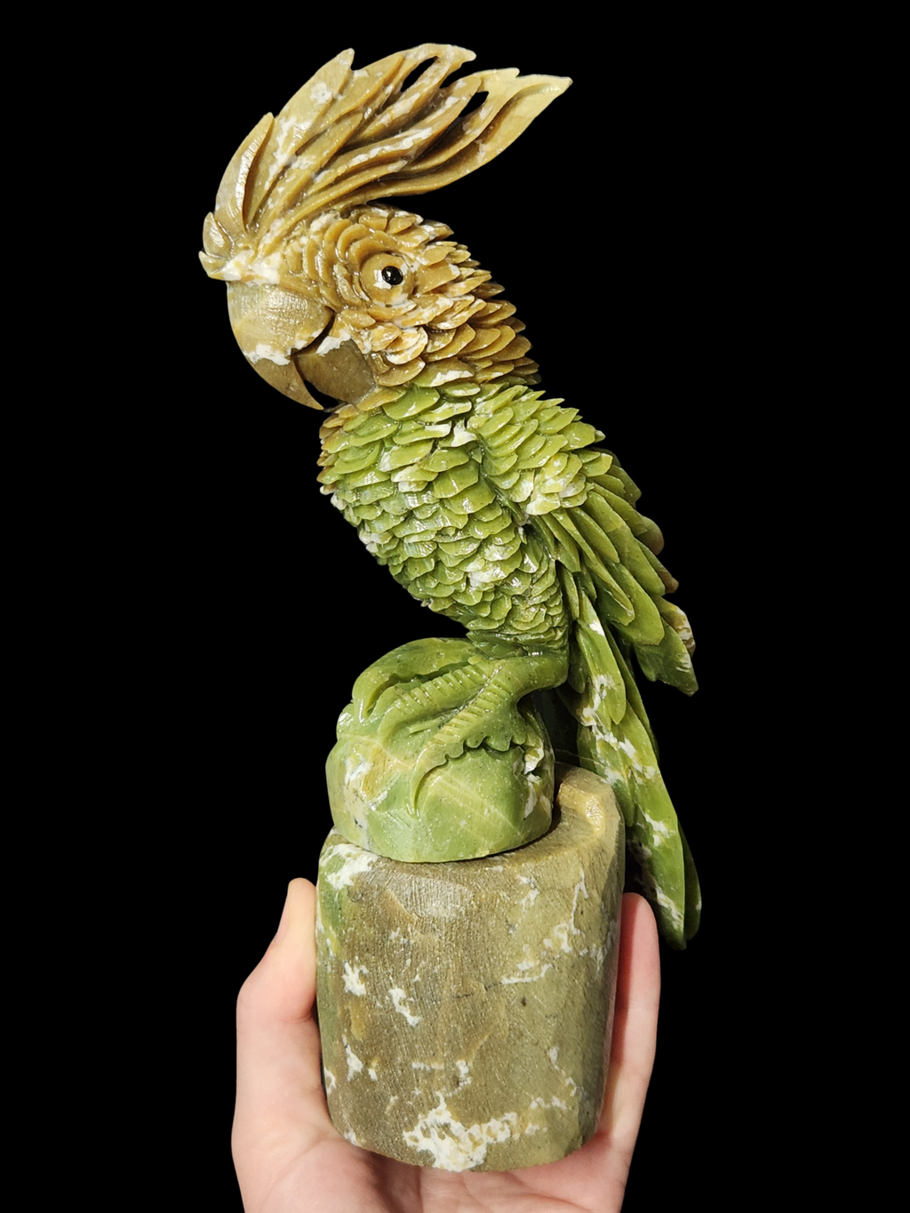 Parrot - Green Jade