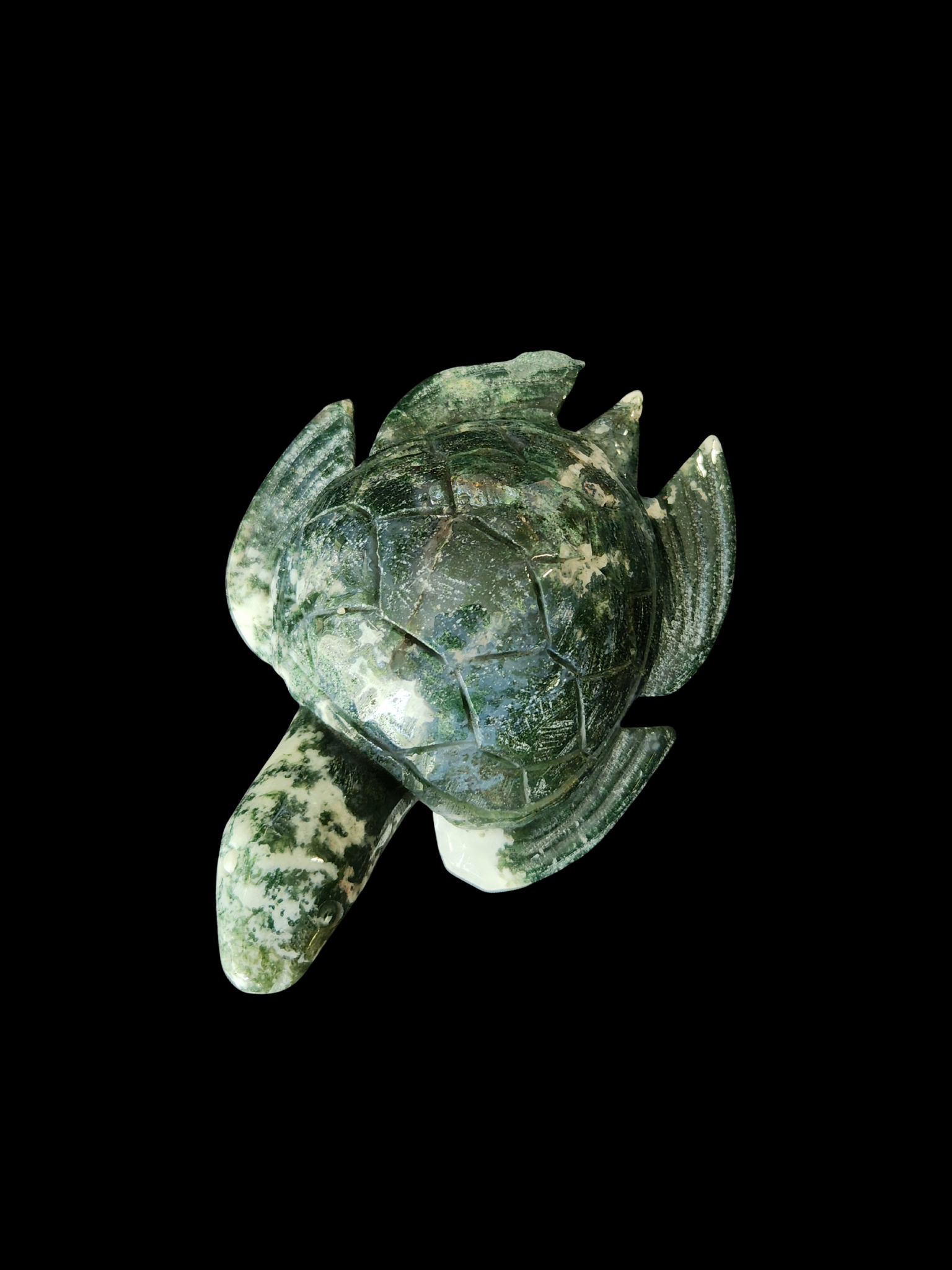 Turtle - Moss Agate