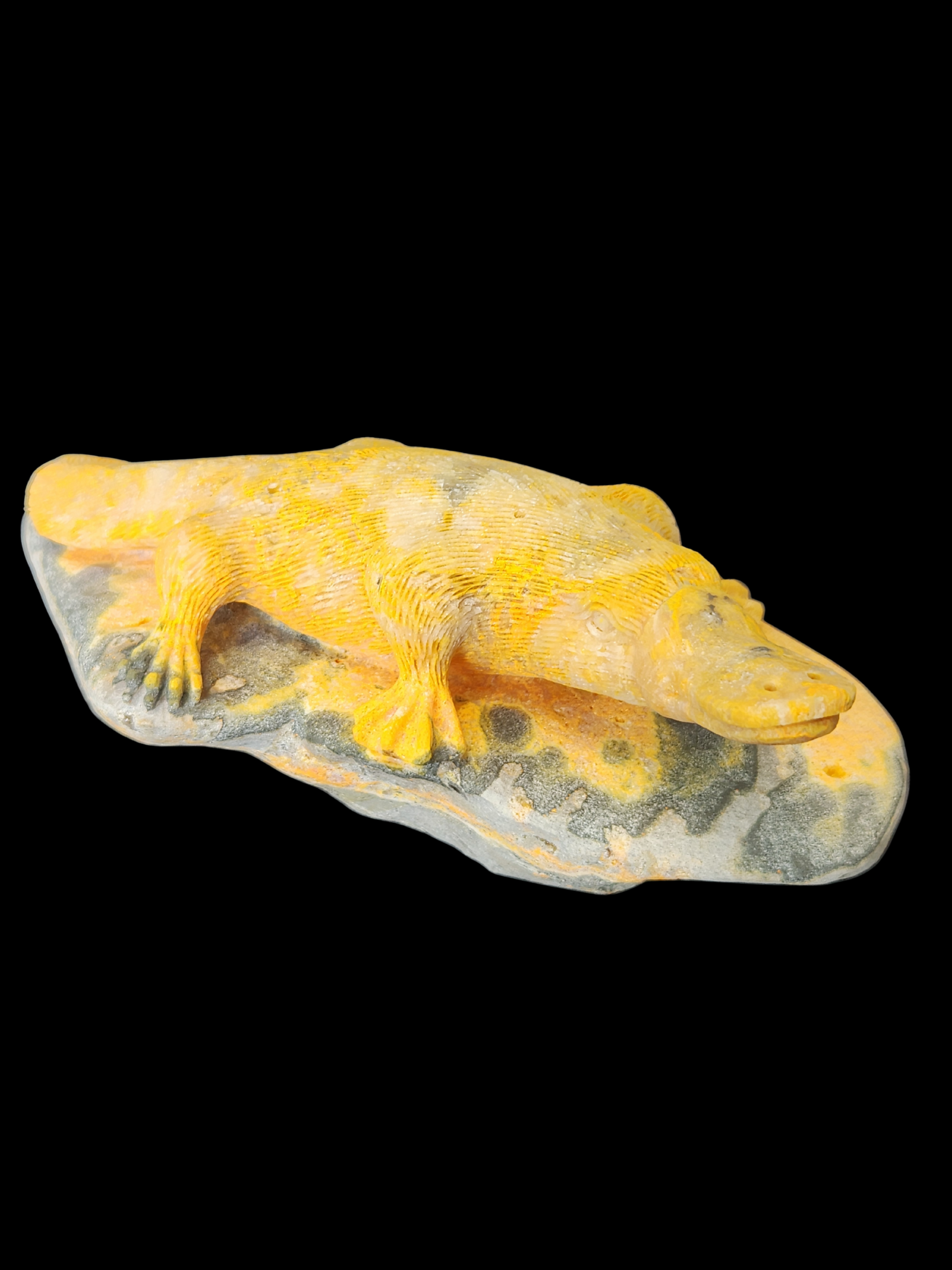 Platypus - Bumble Bee Jasper