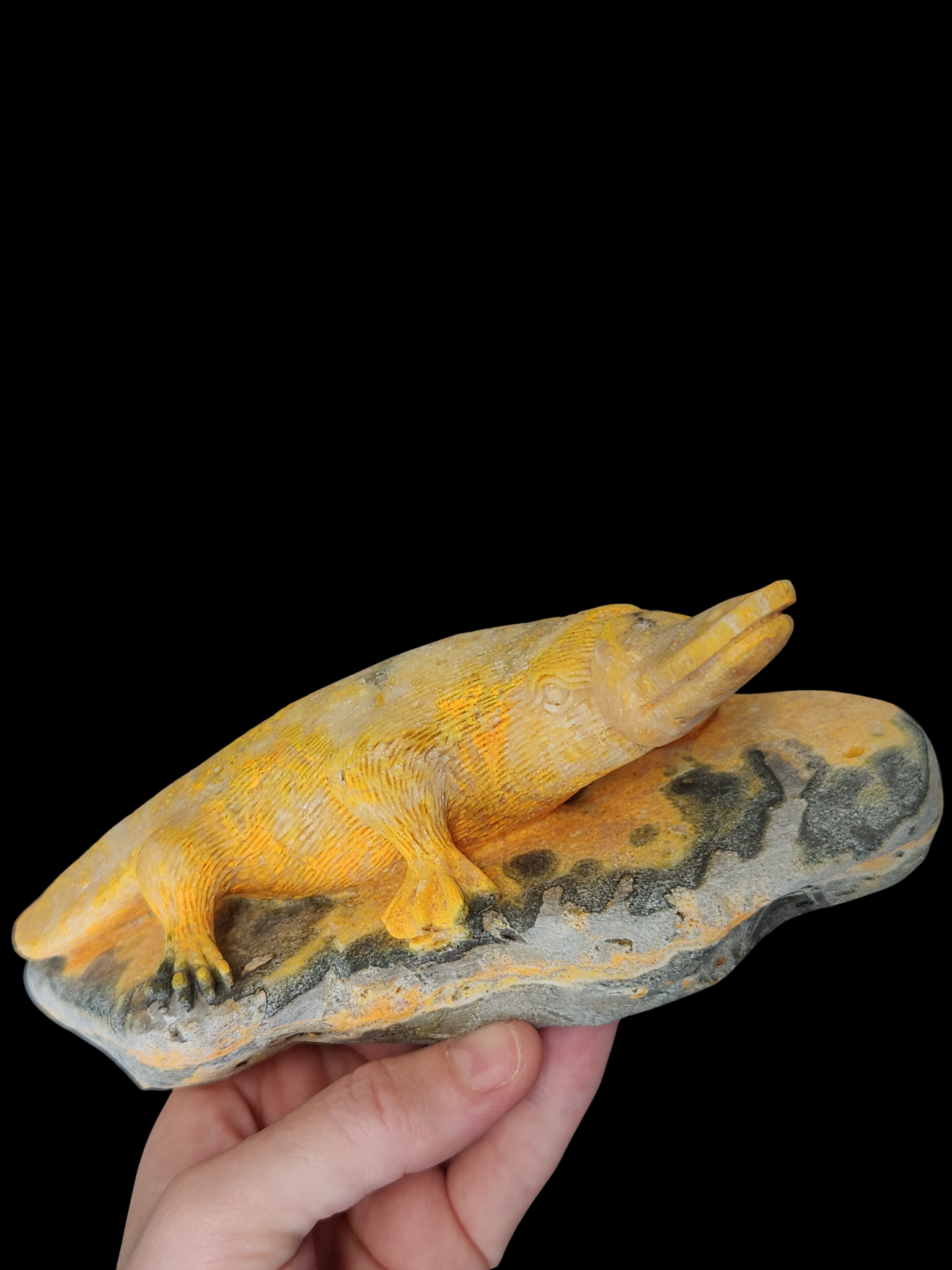 Platypus - Bumble Bee Jasper