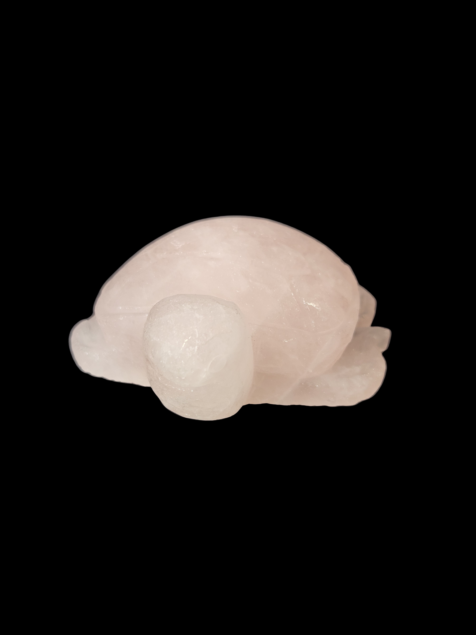 Turtle - Rose Quartz