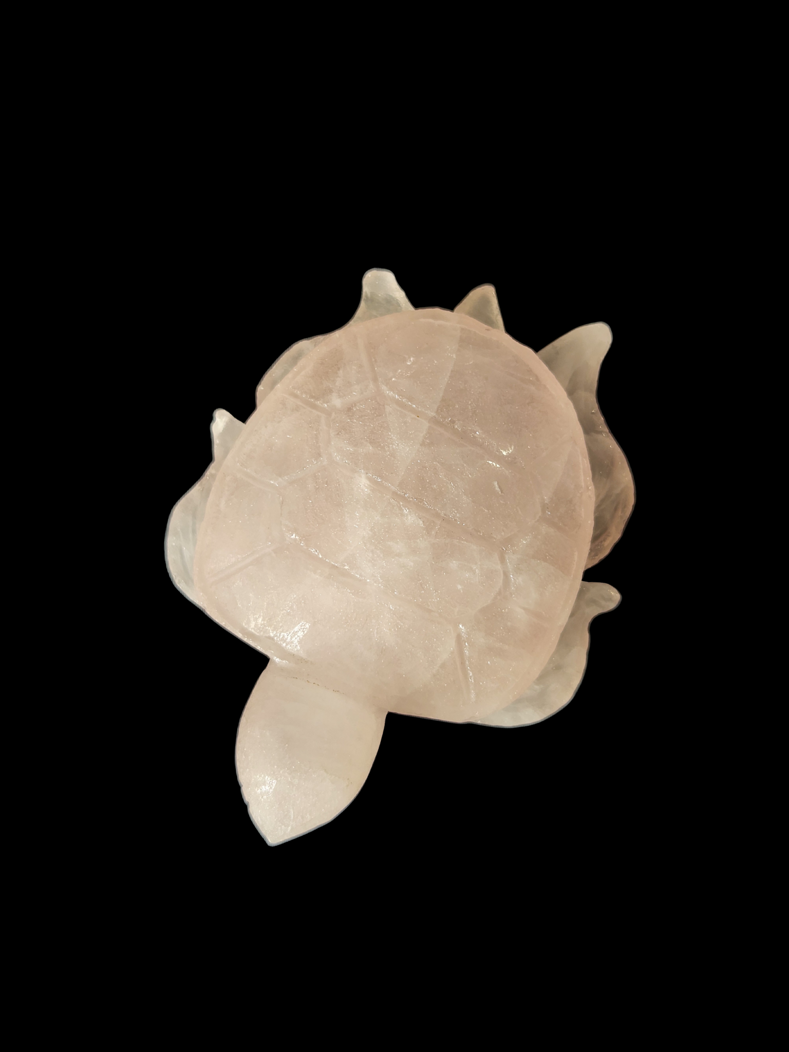 Turtle - Rose Quartz