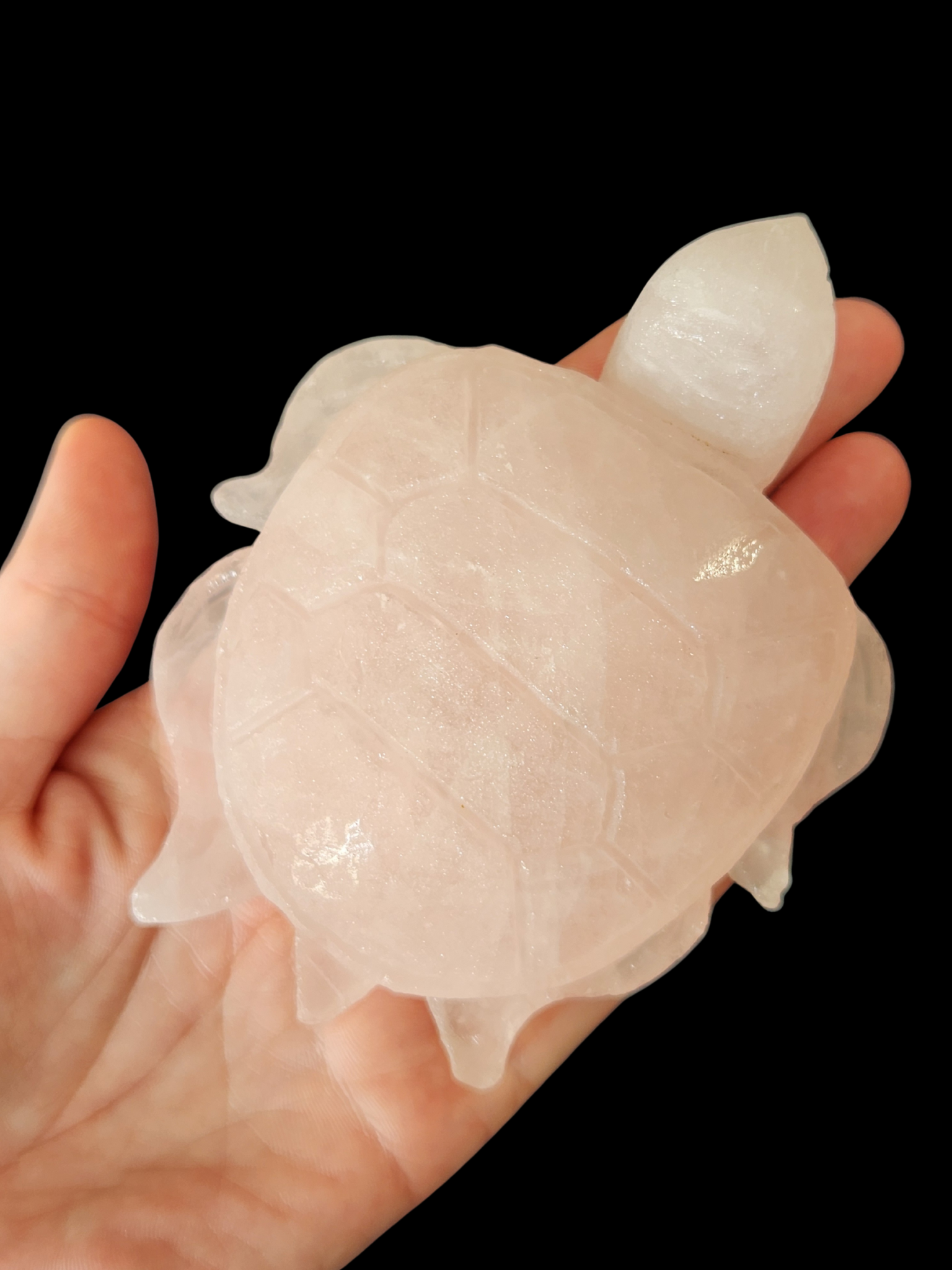 Turtle - Rose Quartz