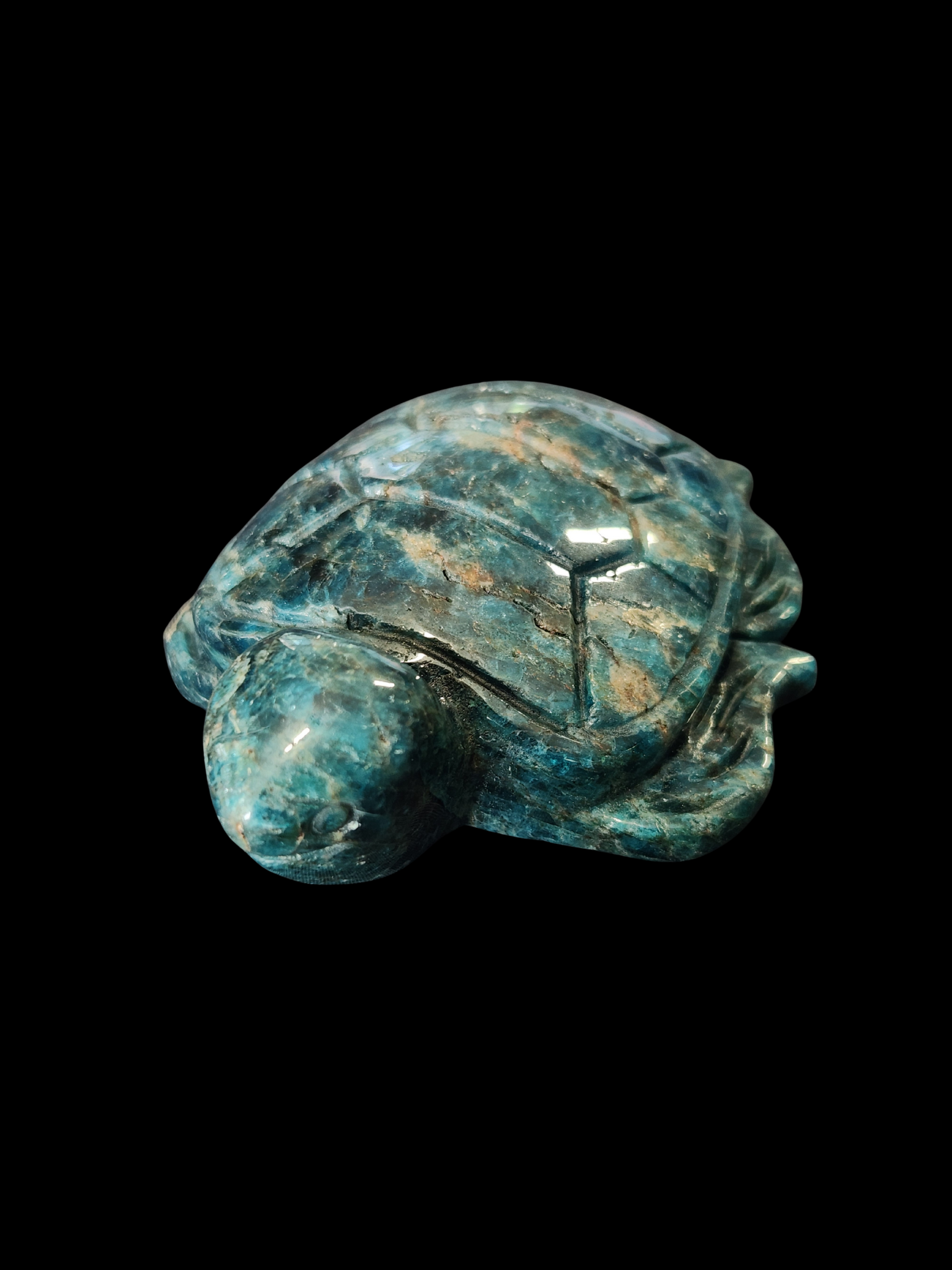 Turtle - Blue Apatite
