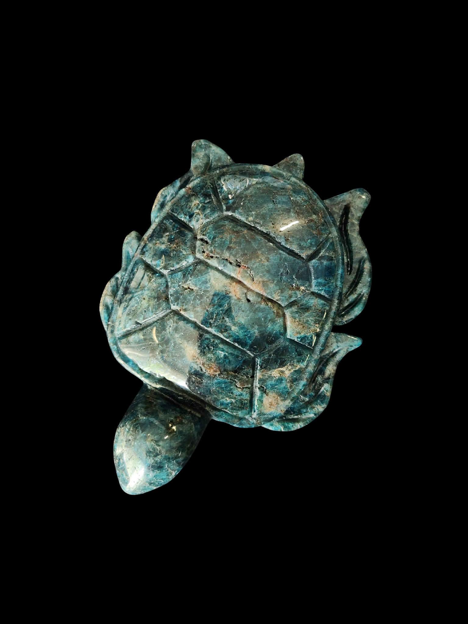 Turtle - Blue Apatite