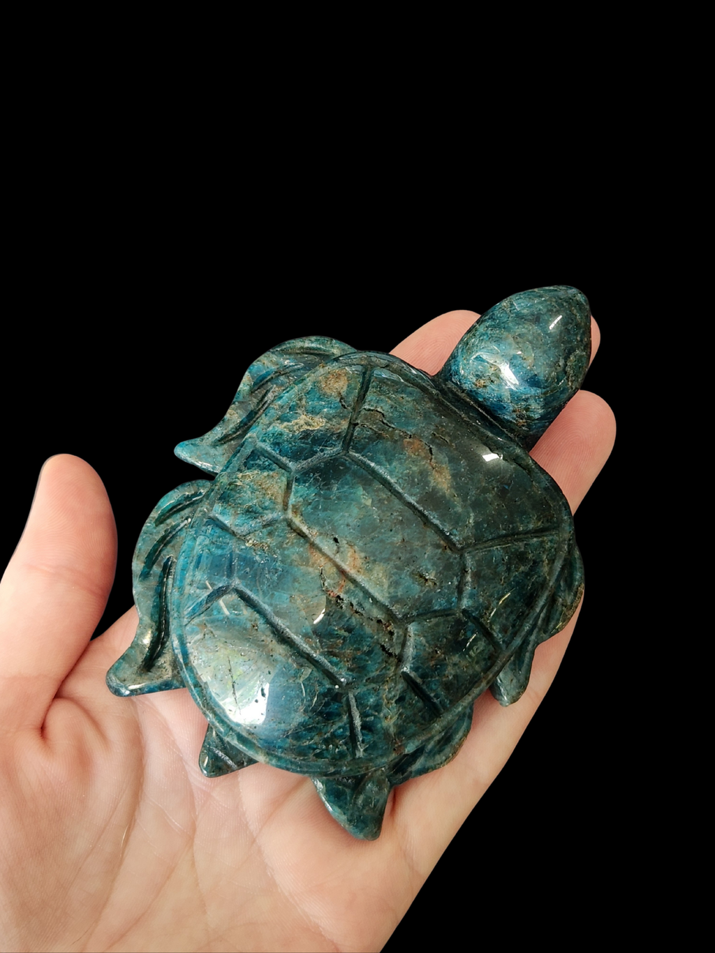 Turtle - Blue Apatite