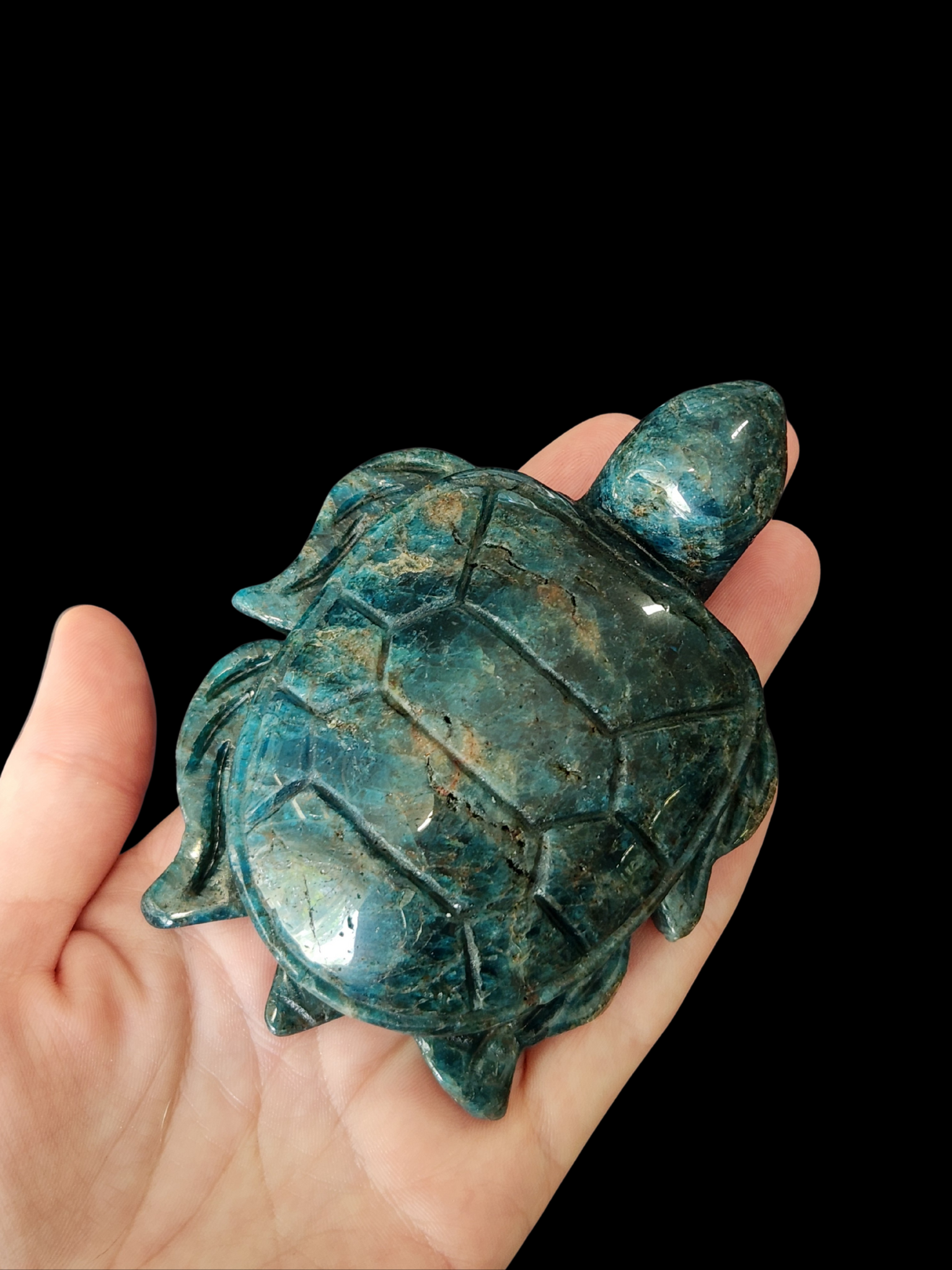 Turtle - Blue Apatite