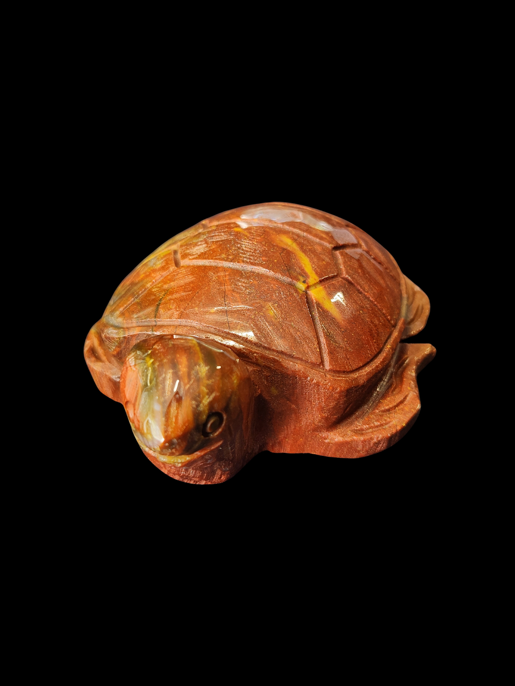 Turtle - Ocean Jasper