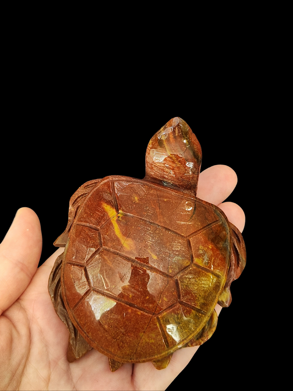 Turtle - Ocean Jasper