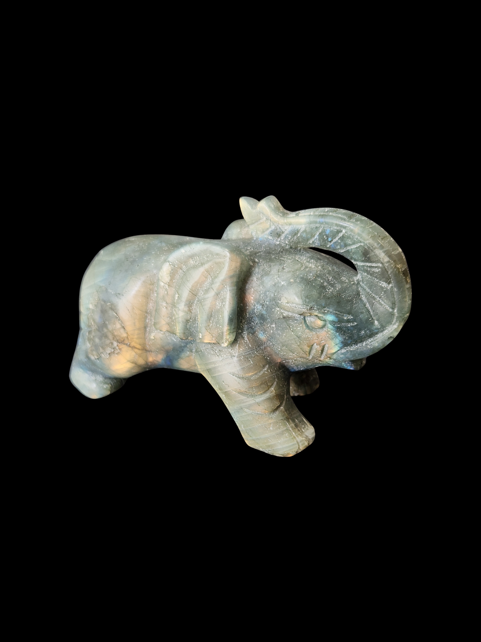 Elephant - Labradorite