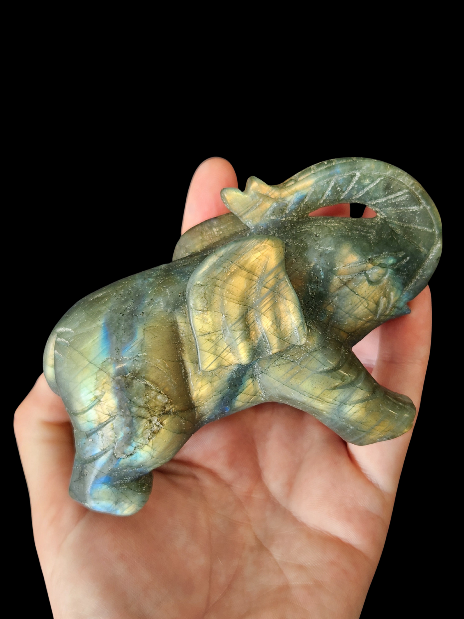 Elephant - Labradorite