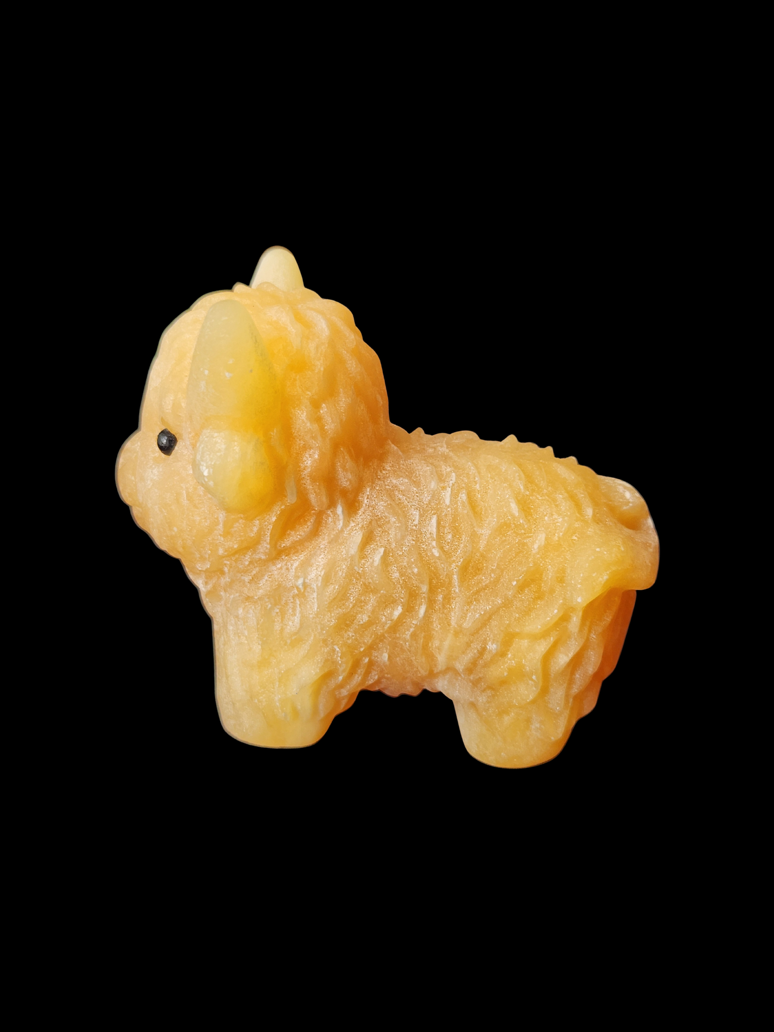 Highland Cow - Yellow Jade