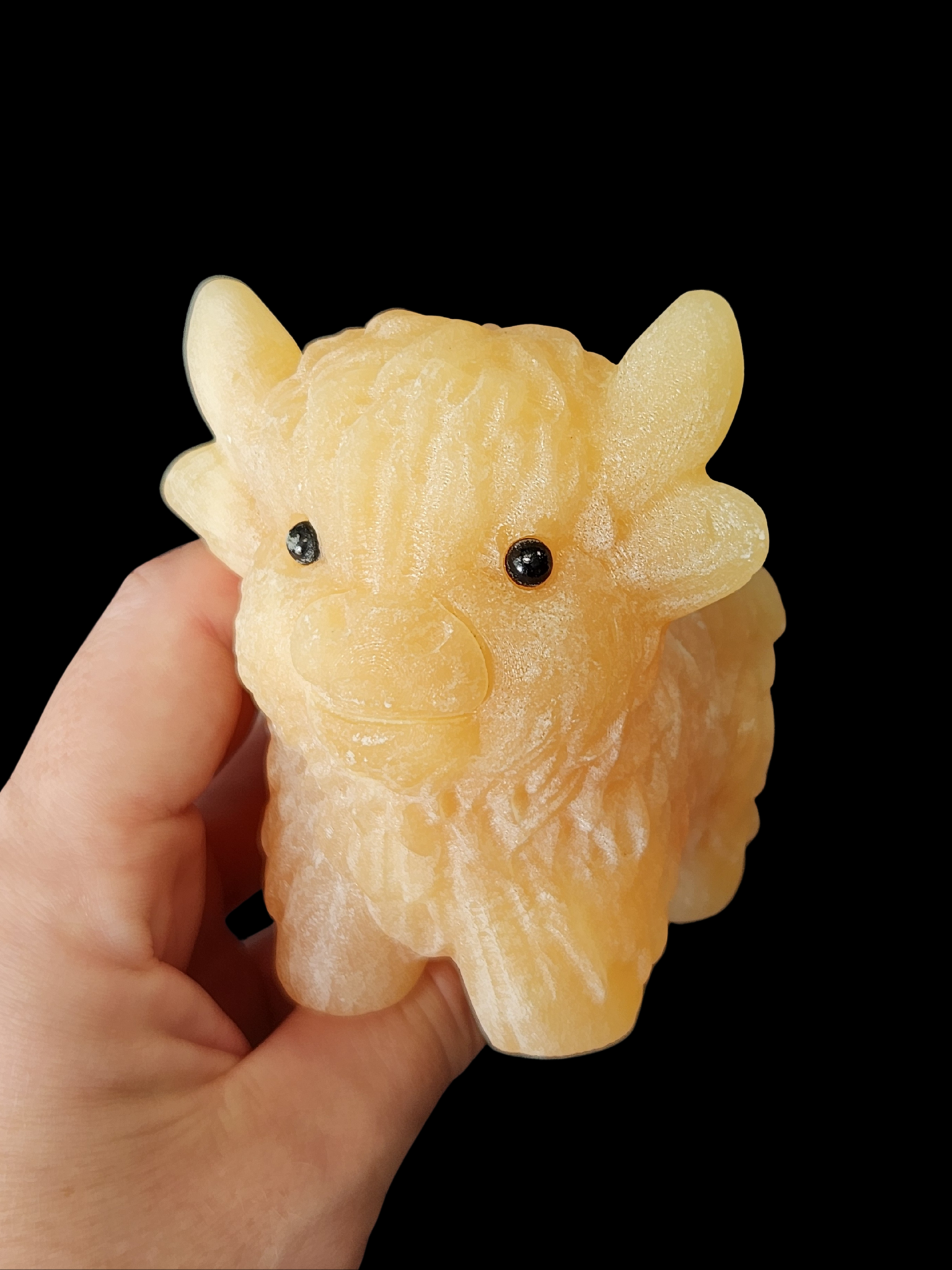 Highland Cow - Yellow Jade
