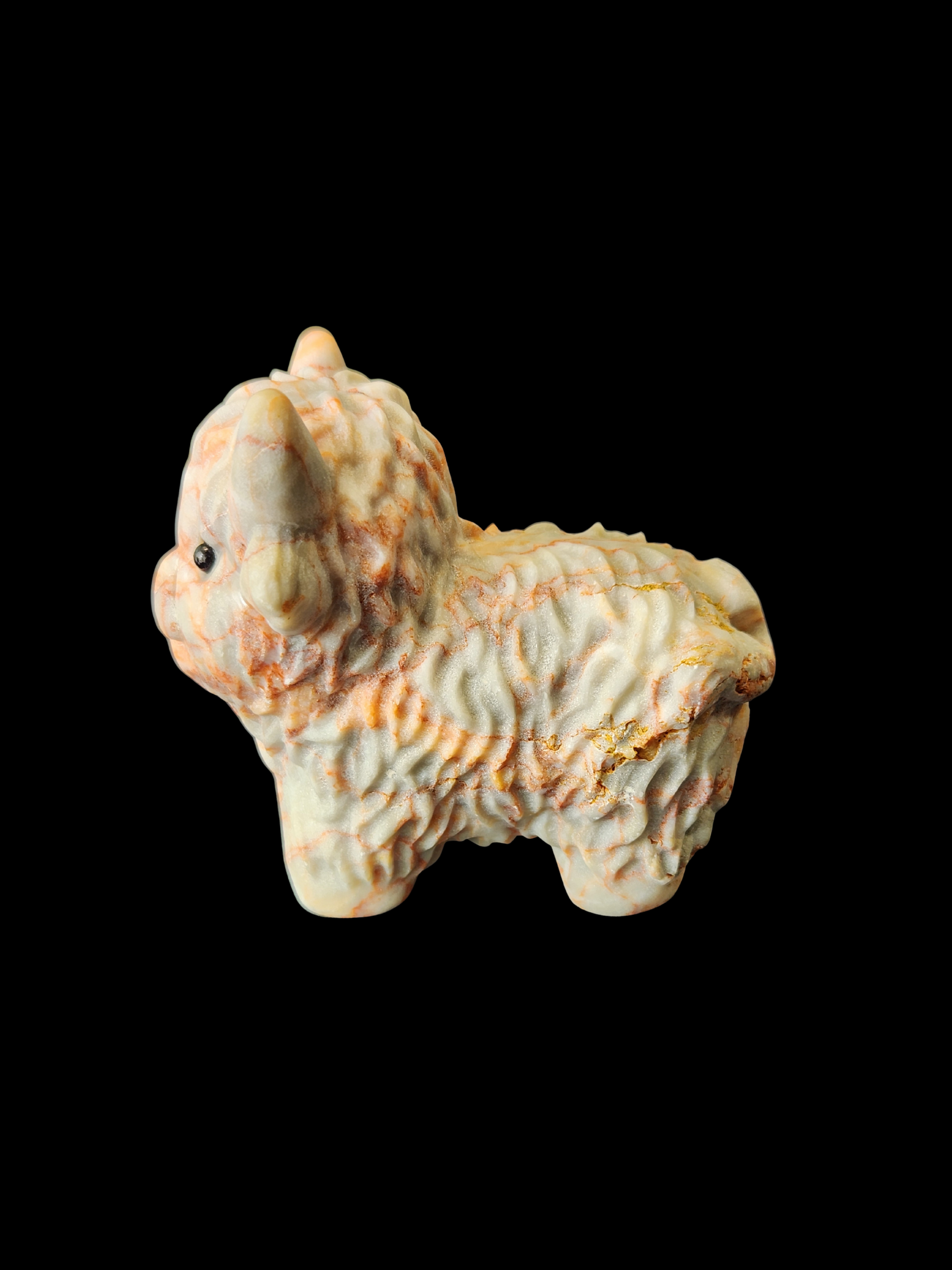 Highland Cow - Cinnabar