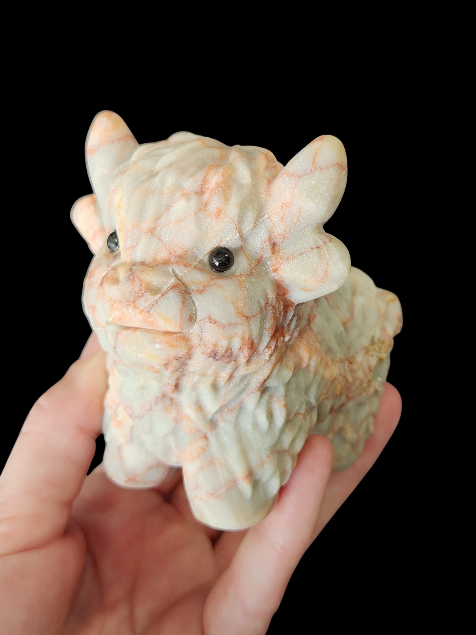 Highland Cow - Cinnabar