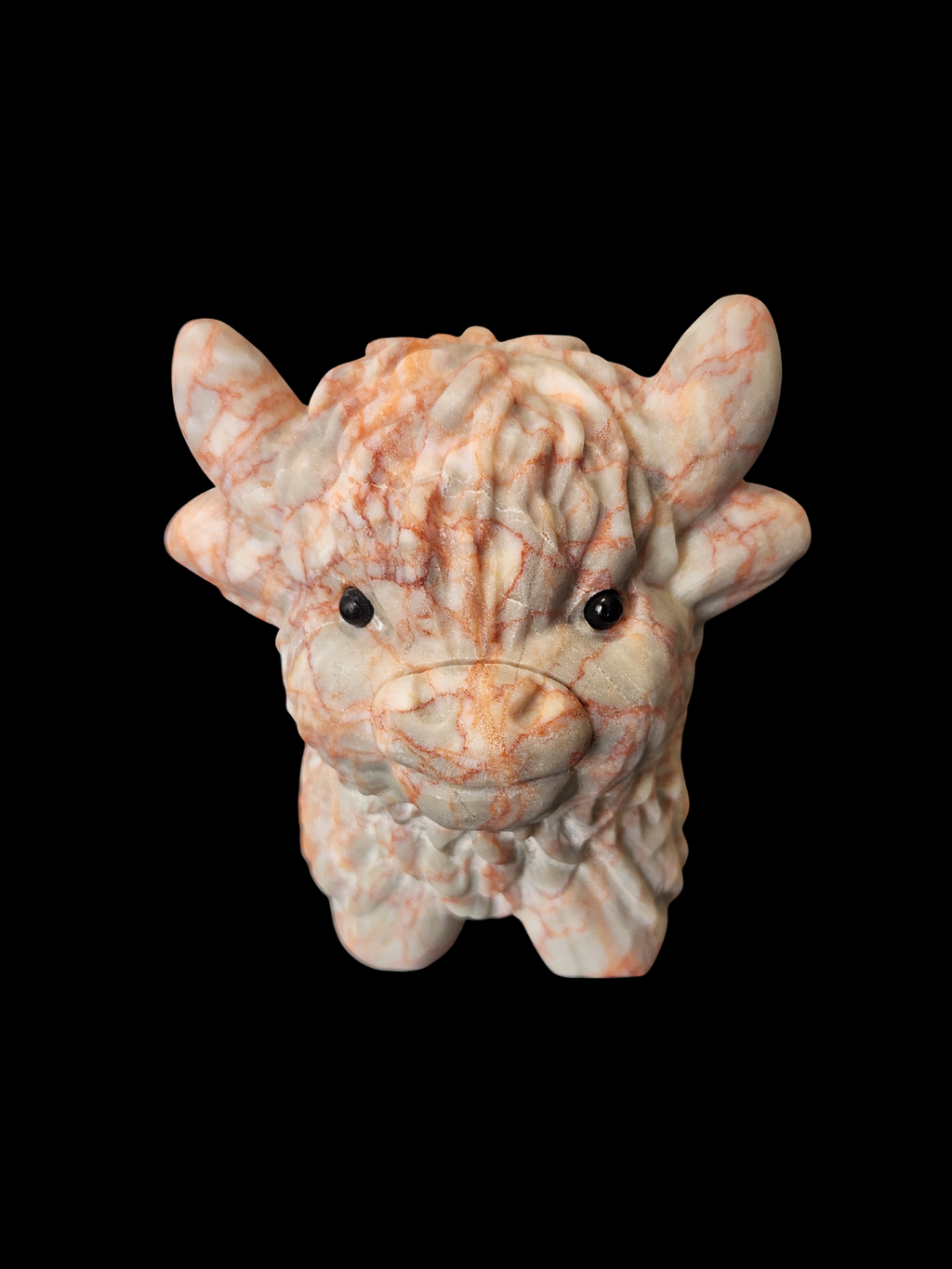 Highland Cow - Cinnabar