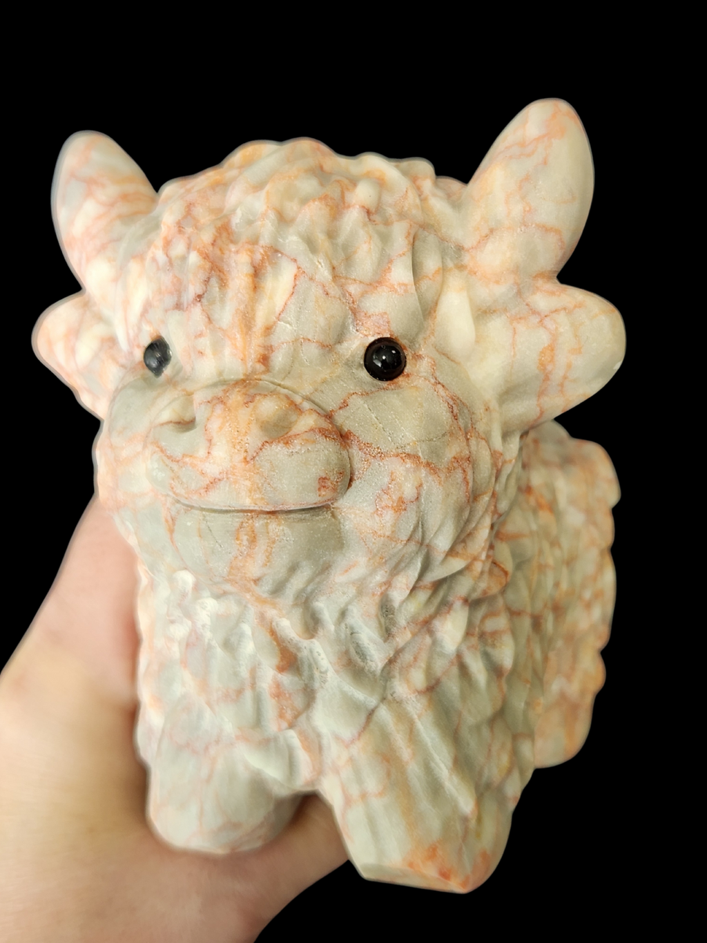 Highland Cow - Cinnabar