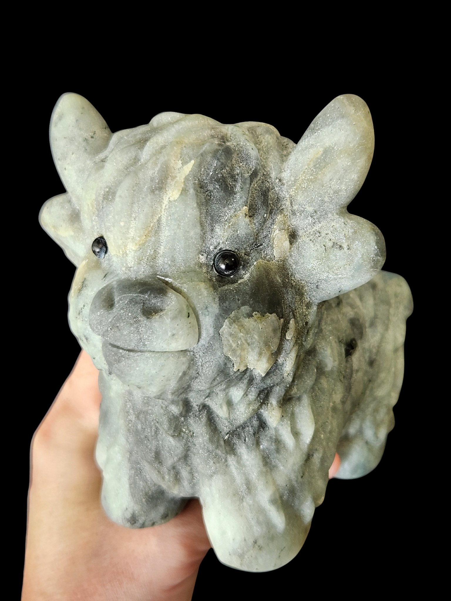 Highland Cow - Labradorite