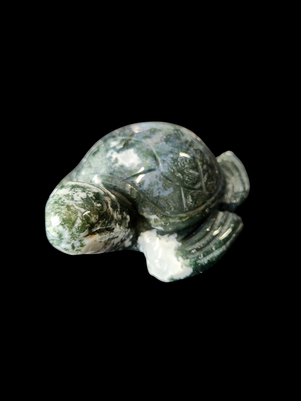 Turtle - Moss Agate