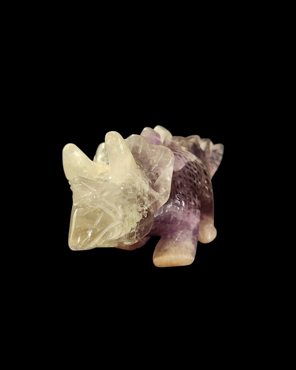 Triceratops - Amethyst