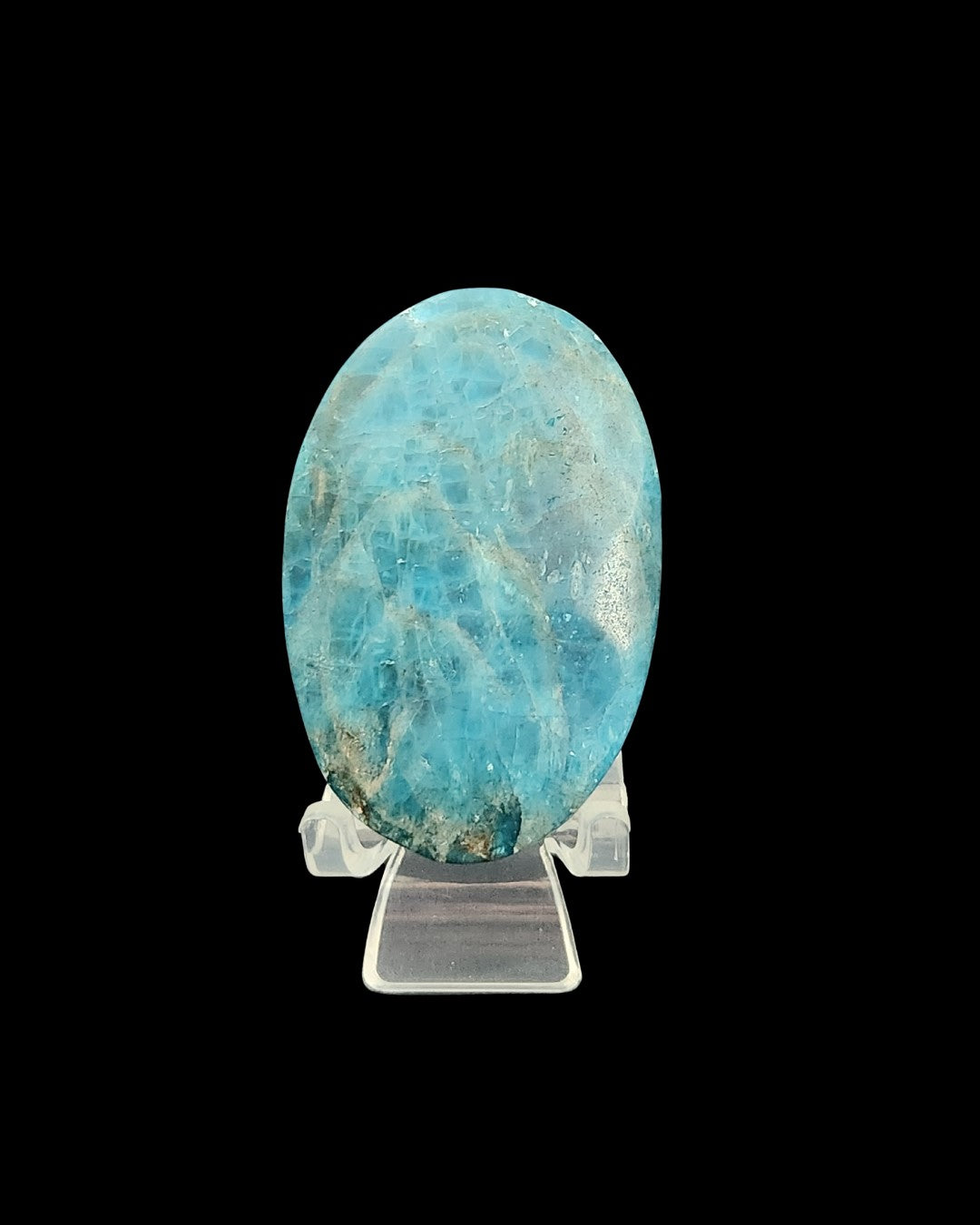 Palm Stone - Blue Apalite