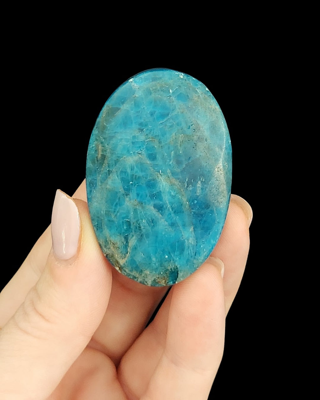 Palm Stone - Blue Apalite