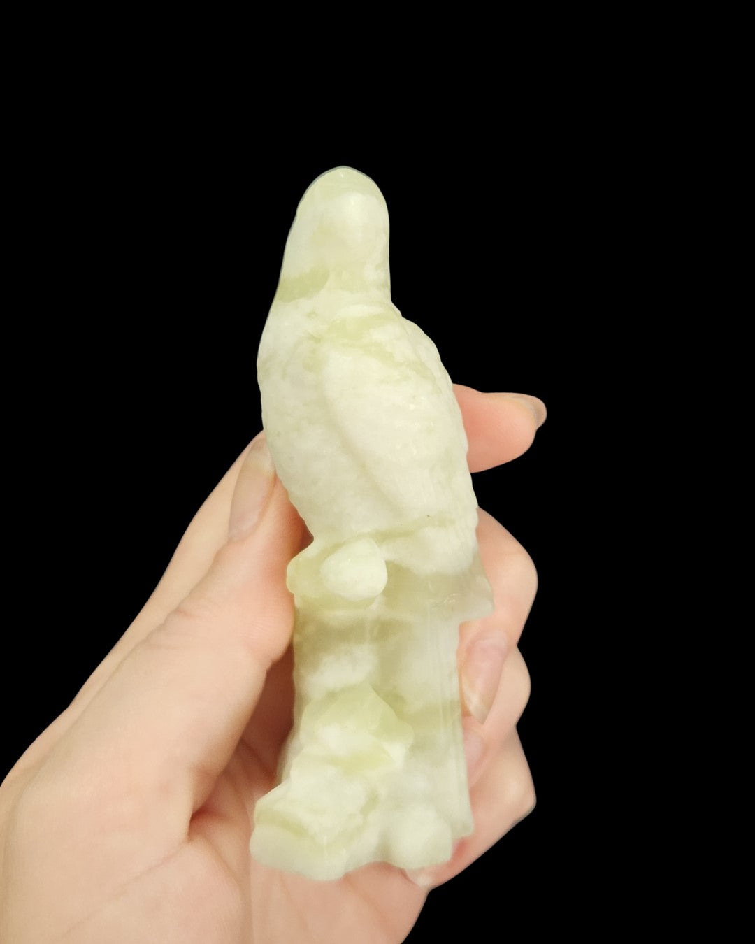 Parrot - Buddstone