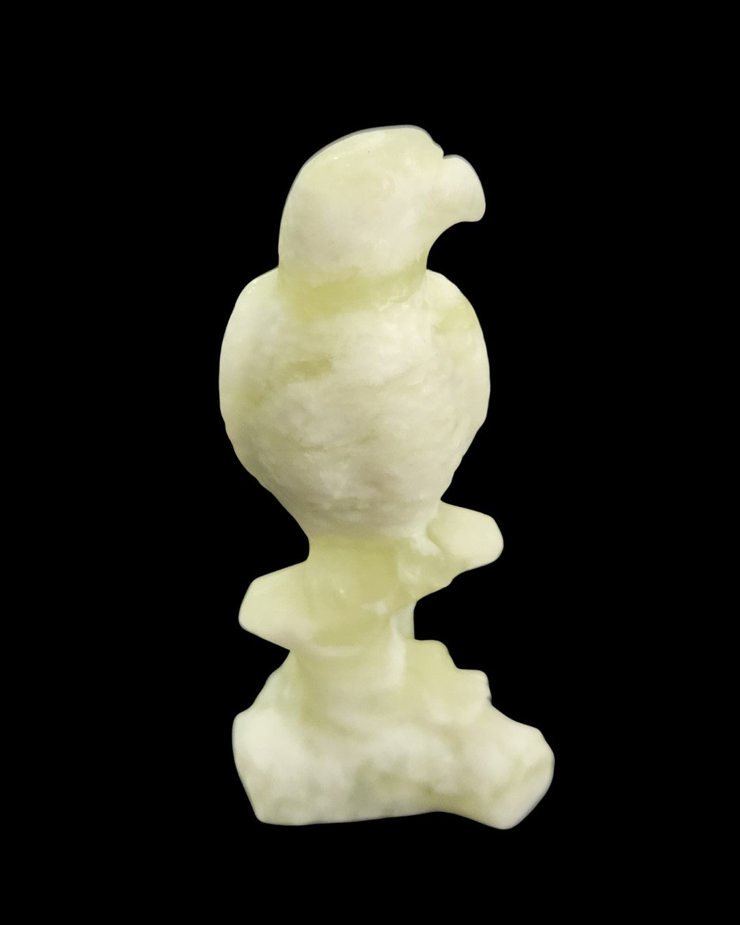 Parrot - Buddstone