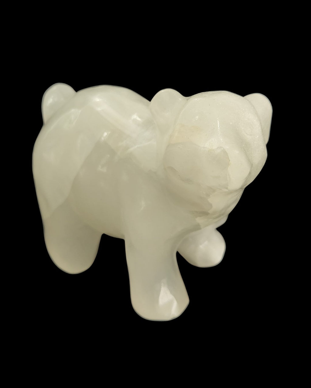 Polar Bear - Buddstone