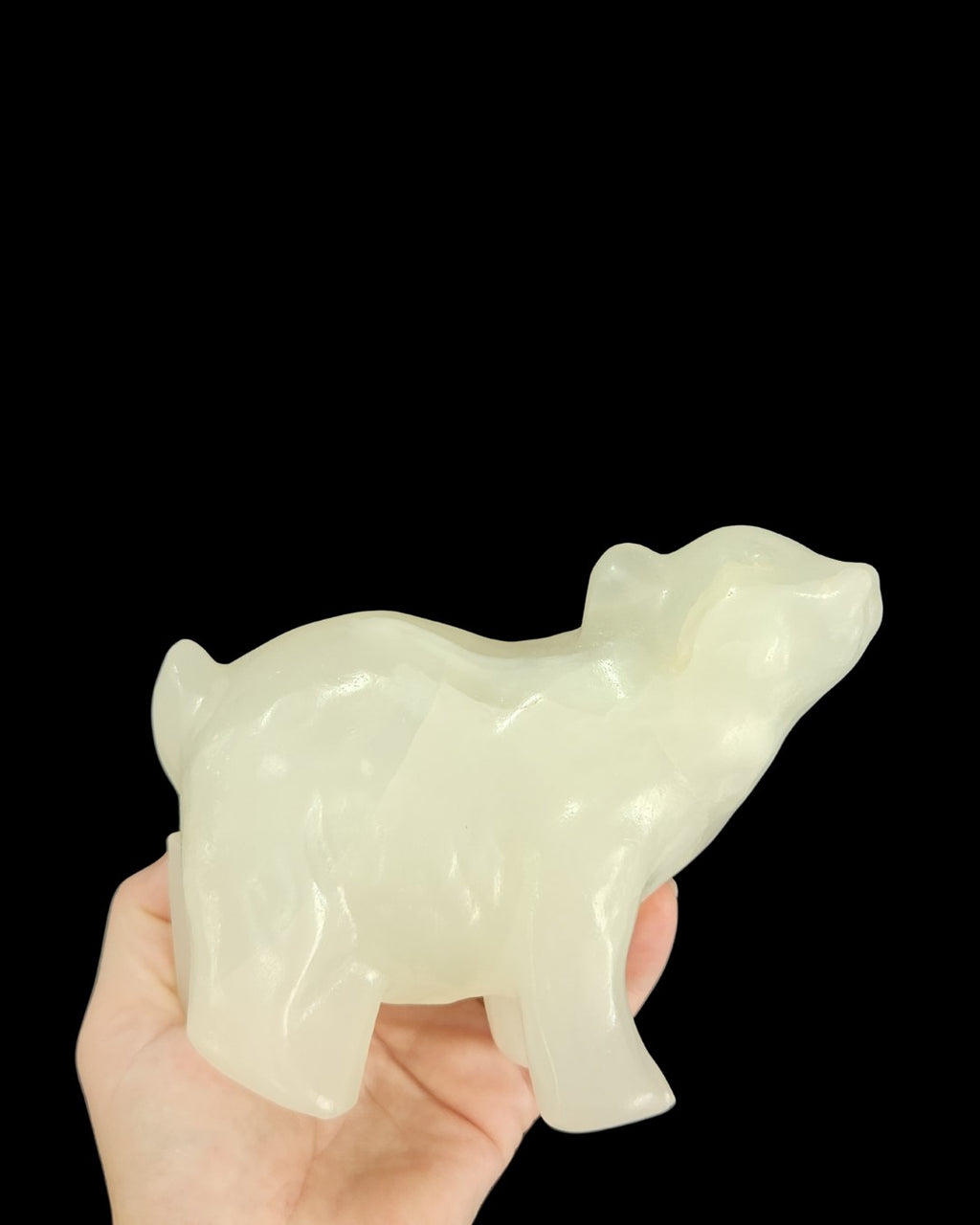 Polar Bear - Buddstone