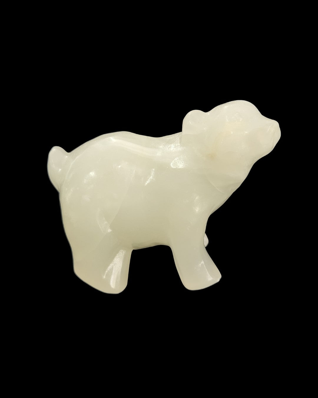 Polar Bear - Buddstone