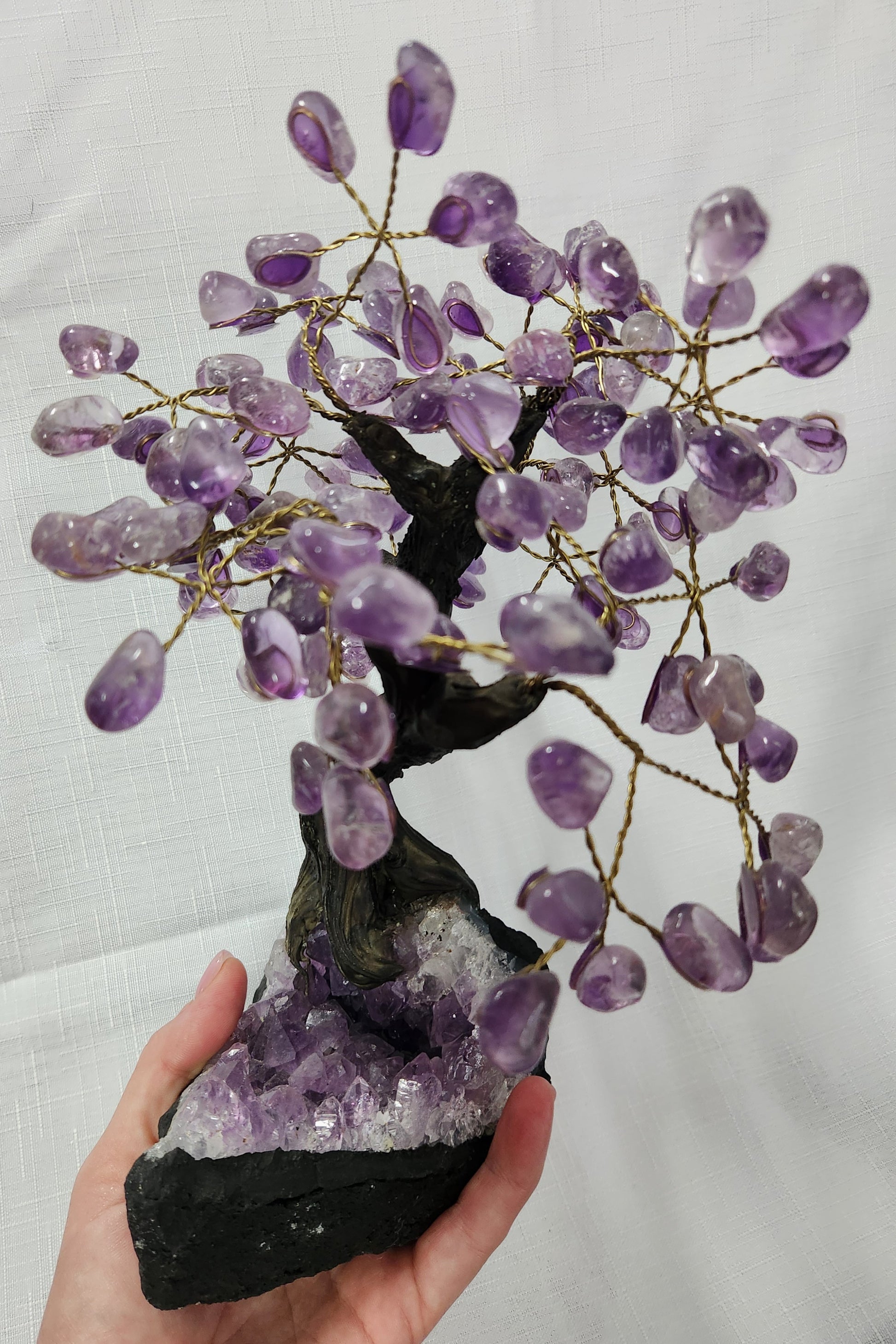 Crystal Tree - Amethyst/Amethyst