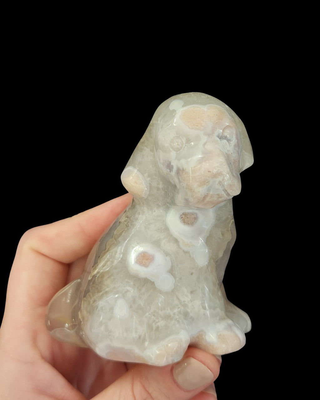 Hound Dog - Flower Agate