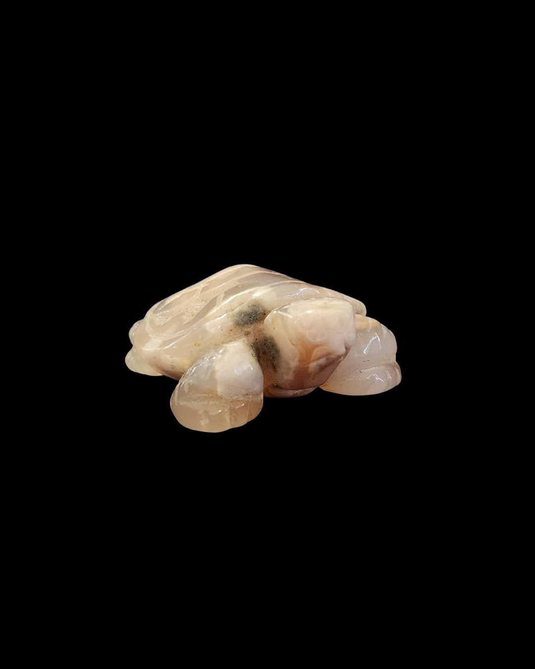 Turtle - Flower Agate