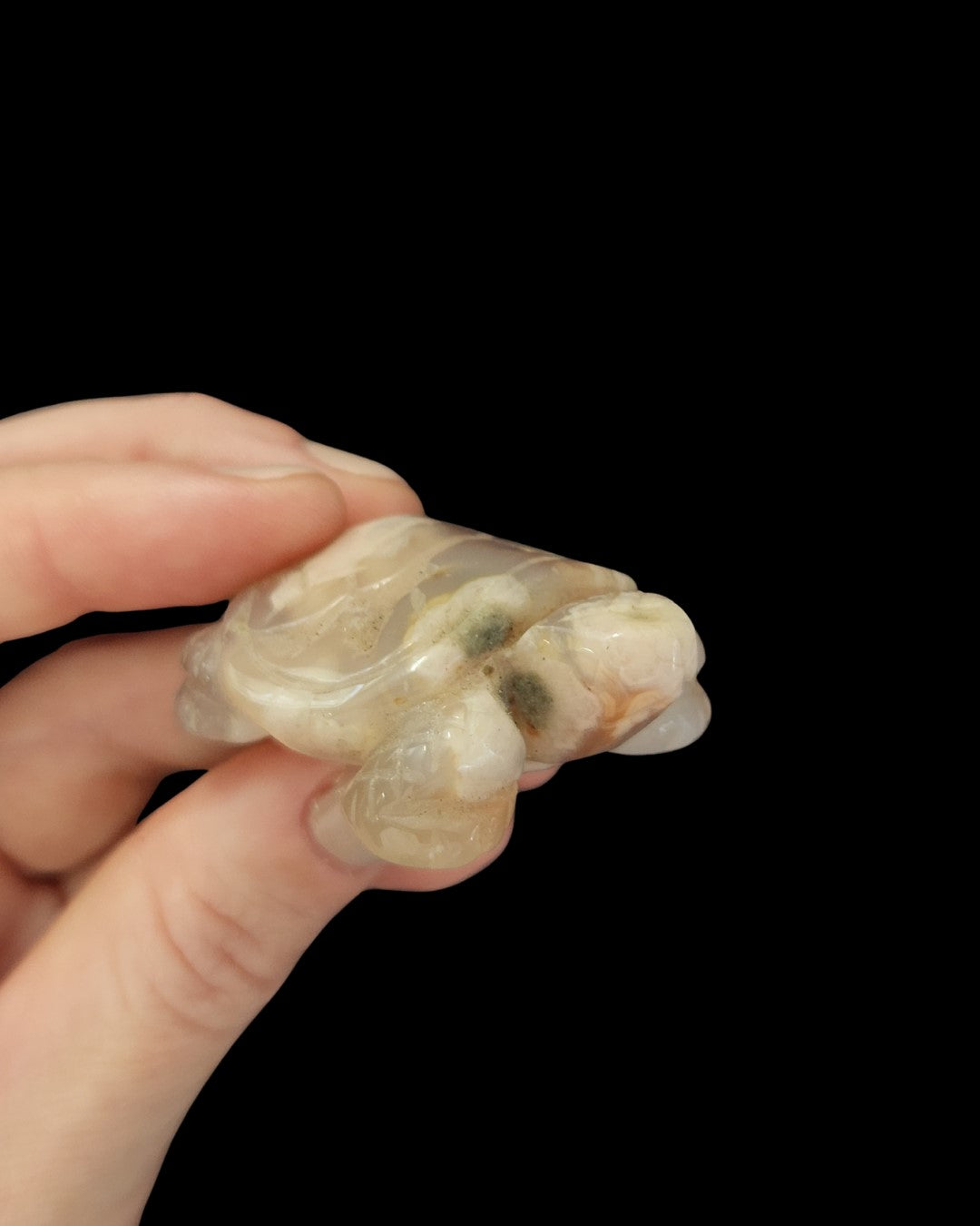 Turtle - Flower Agate