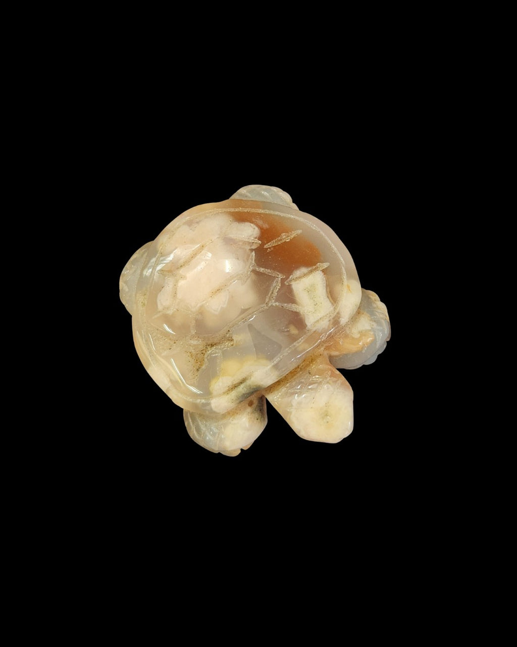 Turtle - Flower Agate