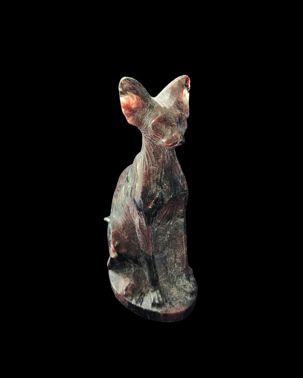 Sphynx Cat - Garnet
