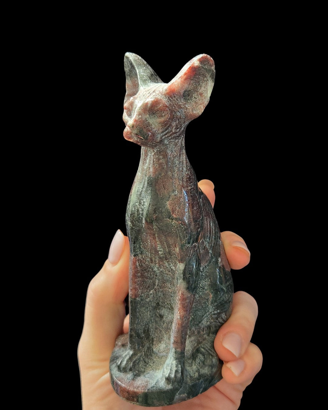 Sphynx Cat - Garnet