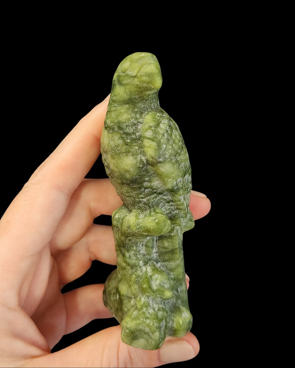 Parrot - Green Jade