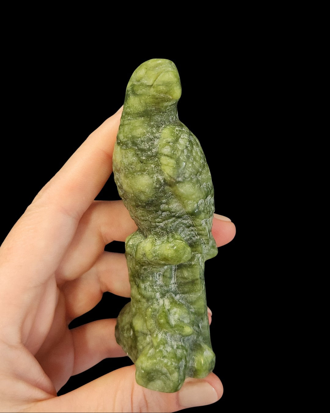 Parrot - Green Jade