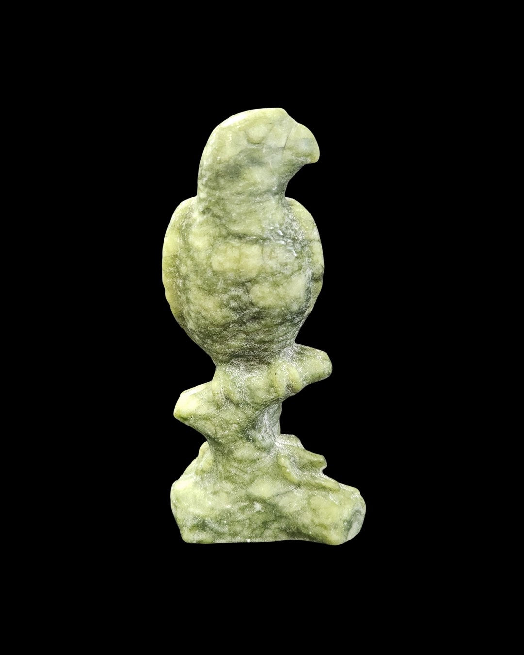 Parrot - Green Jade