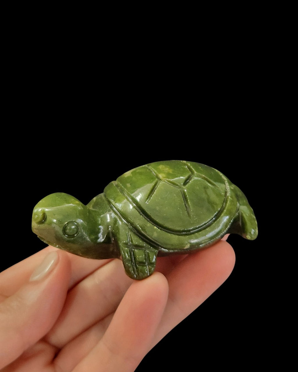 Turtle - Green Jade