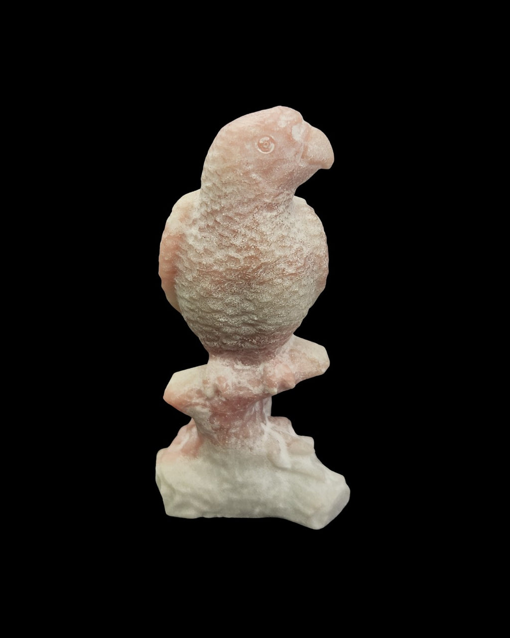 Parrot - Pink Opal